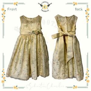 CINDERELLA Flower Girl Pageant Wedding Birthday Party Dress Toddler Size 6